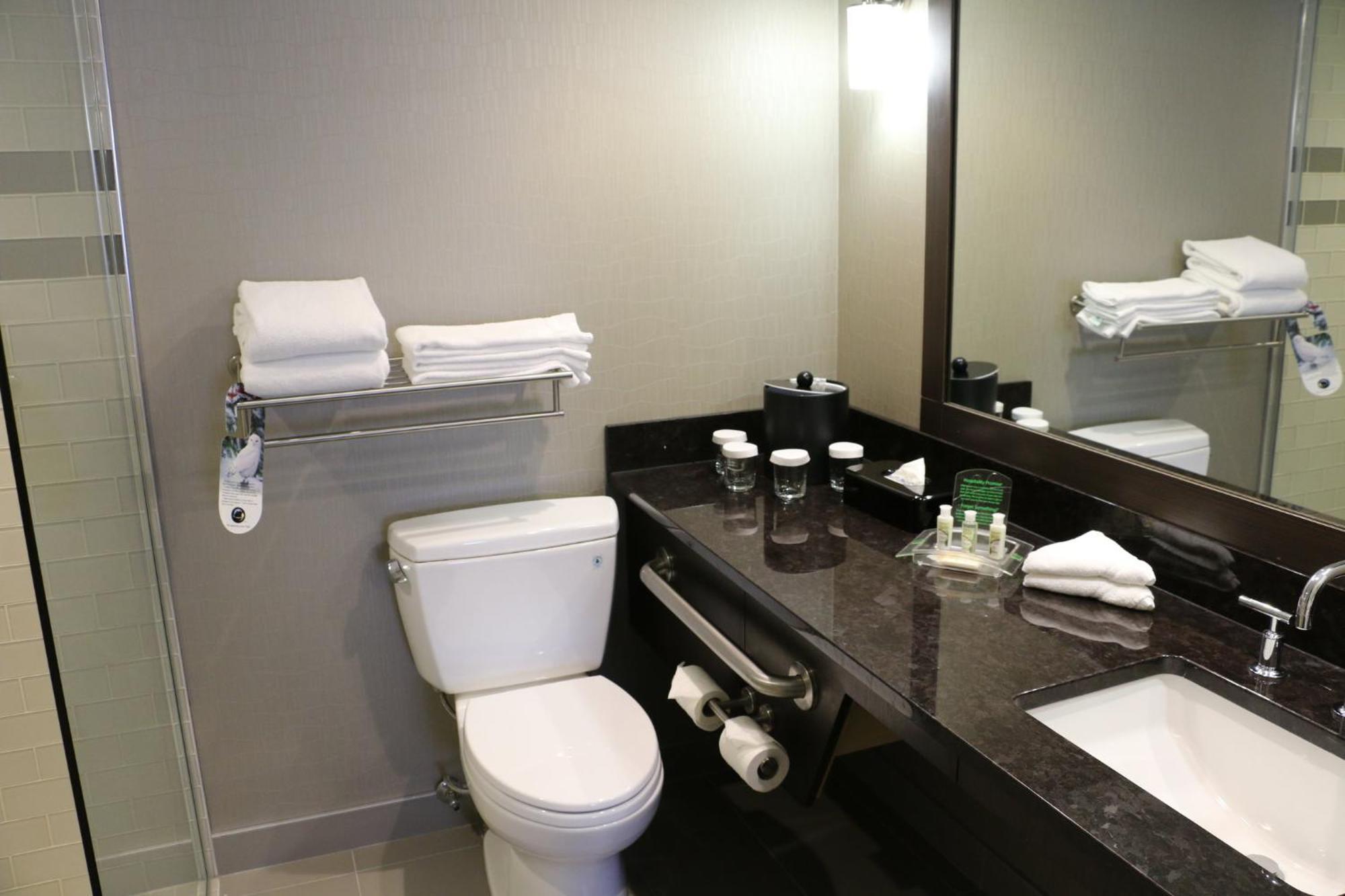 Holiday Inn Calgary Airport By Ihg Экстерьер фото